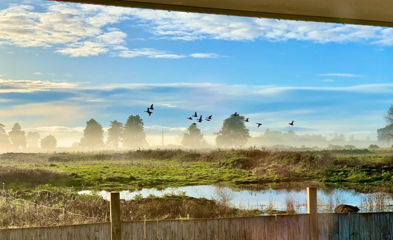 Radiata Homestay Hamilton Buitenkant foto